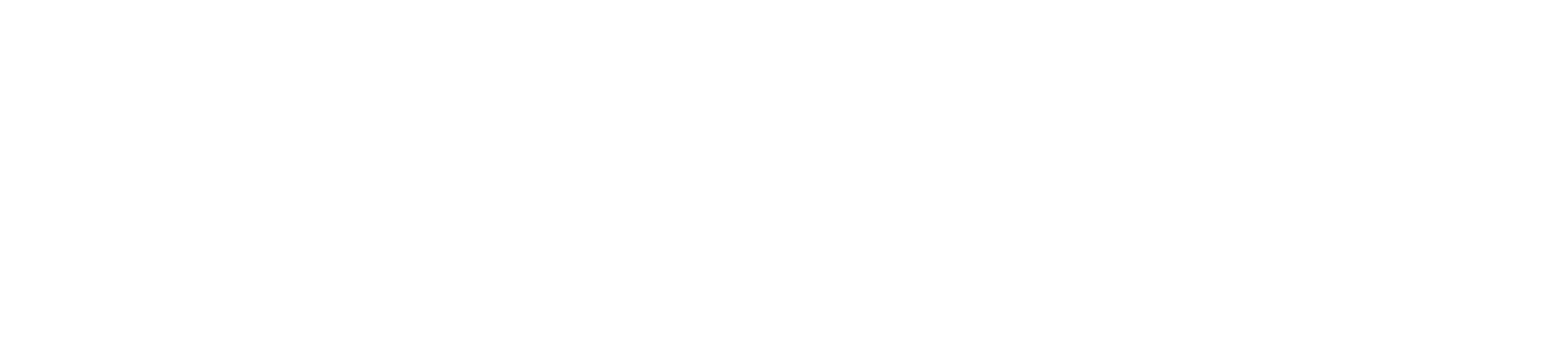 NetDevo Logo White PNG